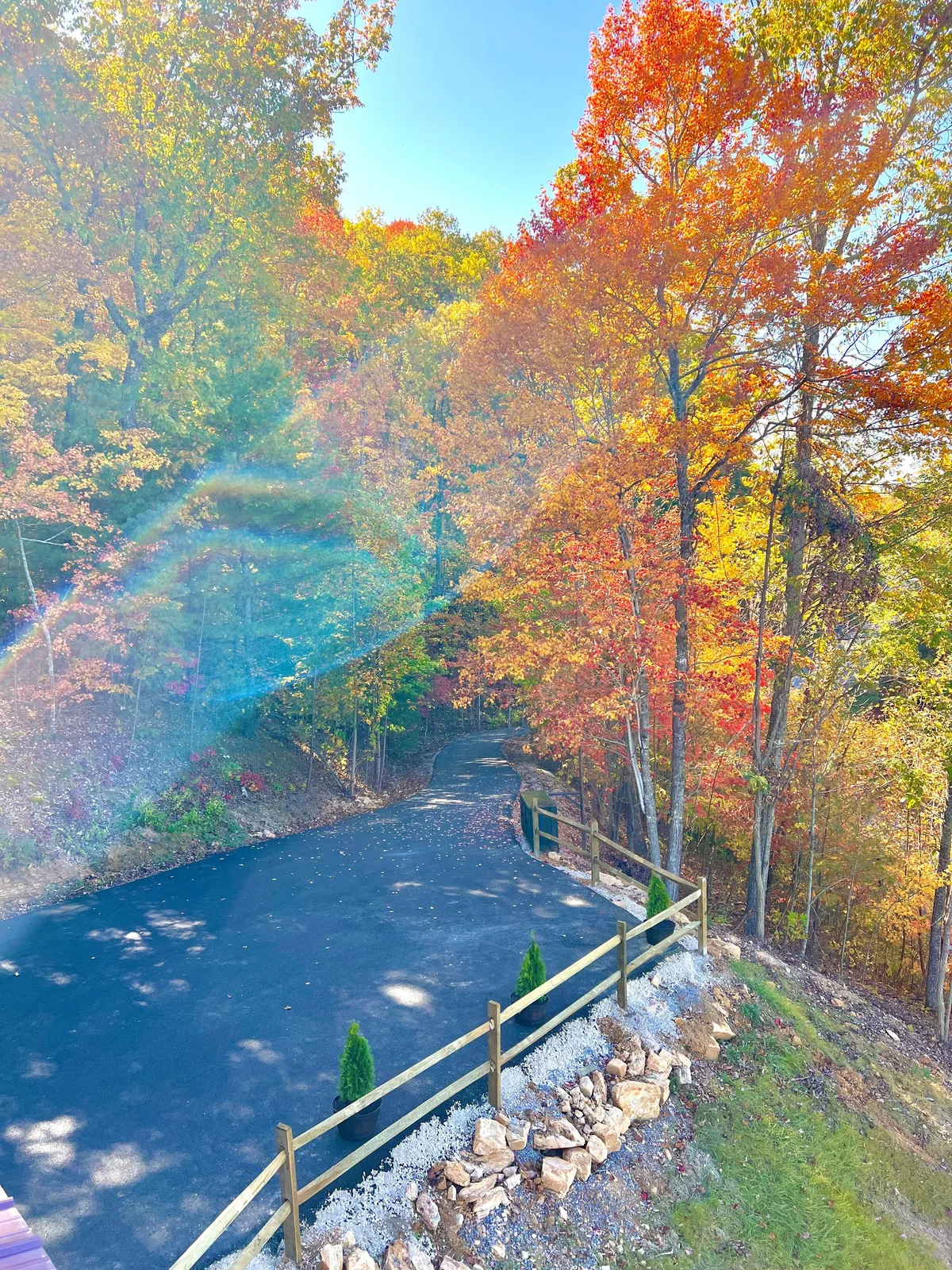A serene driveway lined with vibrant autumn trees in full color, a wooden fence, and landscape stones create a quintessential fall scene. The golden and orange leaves frame the paved path, inviting exploration and outdoor activities in peak foliage season.